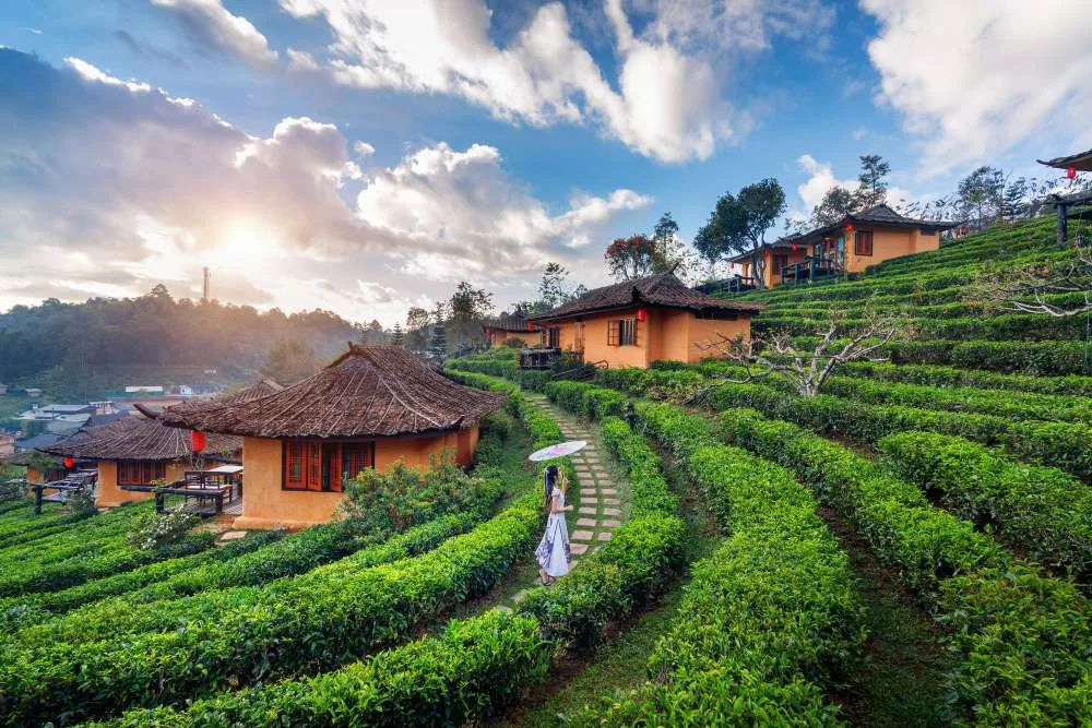 Munnar