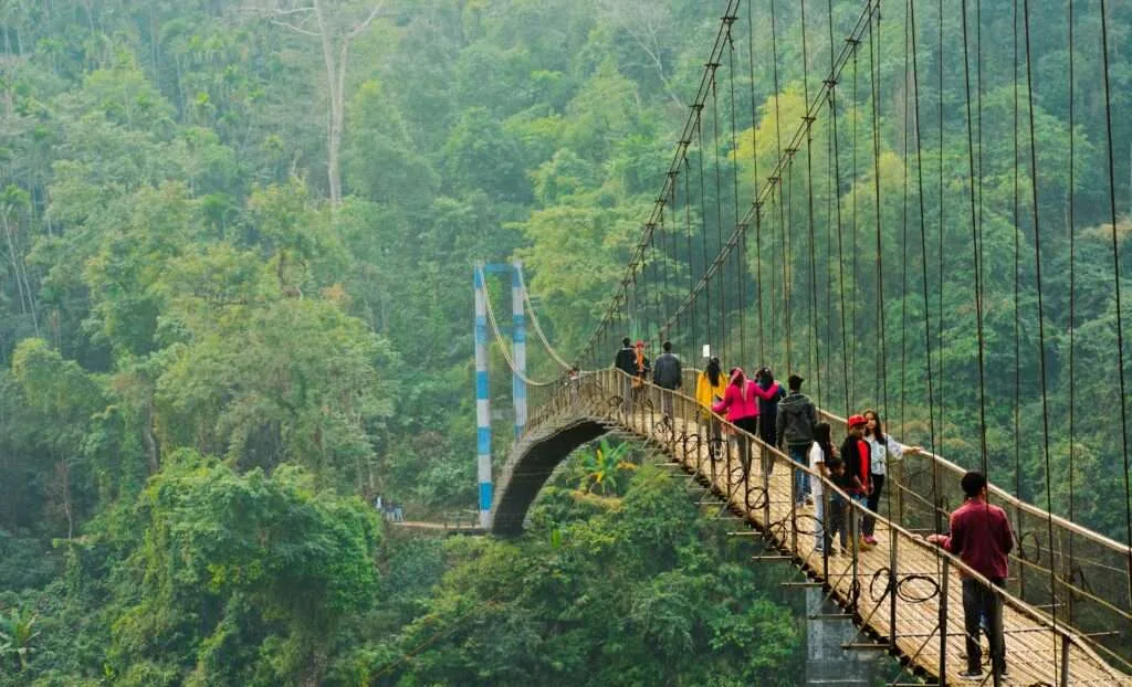 India's Top 10 Must-Visit Travel Spots in 2025 3 Meghalaya India