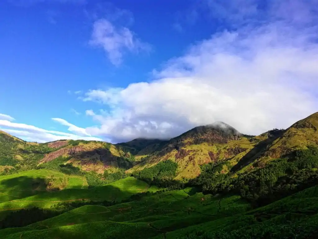 Eco-Tourism in India: Sustainable Travel on the Rise 1 pexels bithinrajxlr8 1786306 min