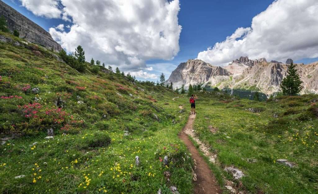 The Best Trekking Routes in India for 2025 2 Valley of Flowers Trek