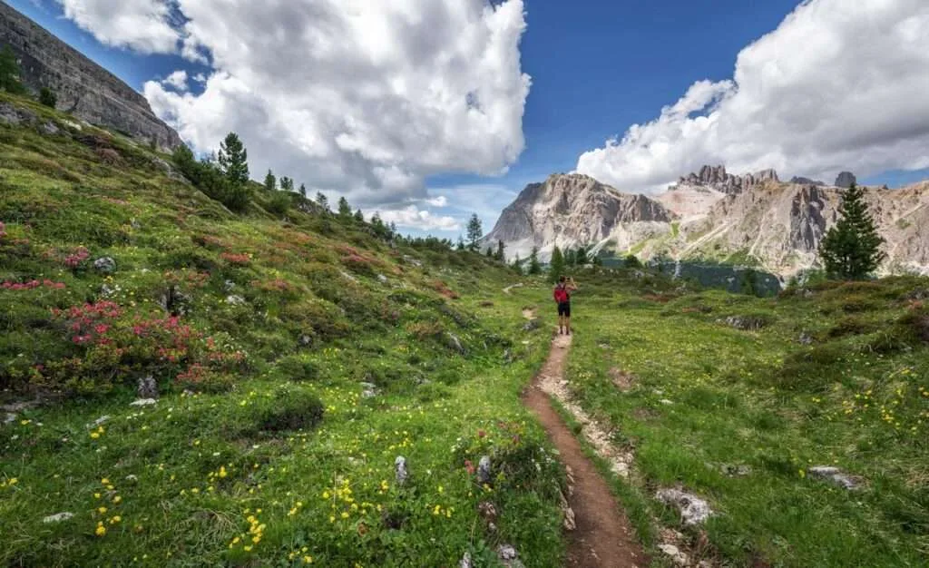 The Best Trekking Routes in India for 2025 2 Valley of Flowers Trek