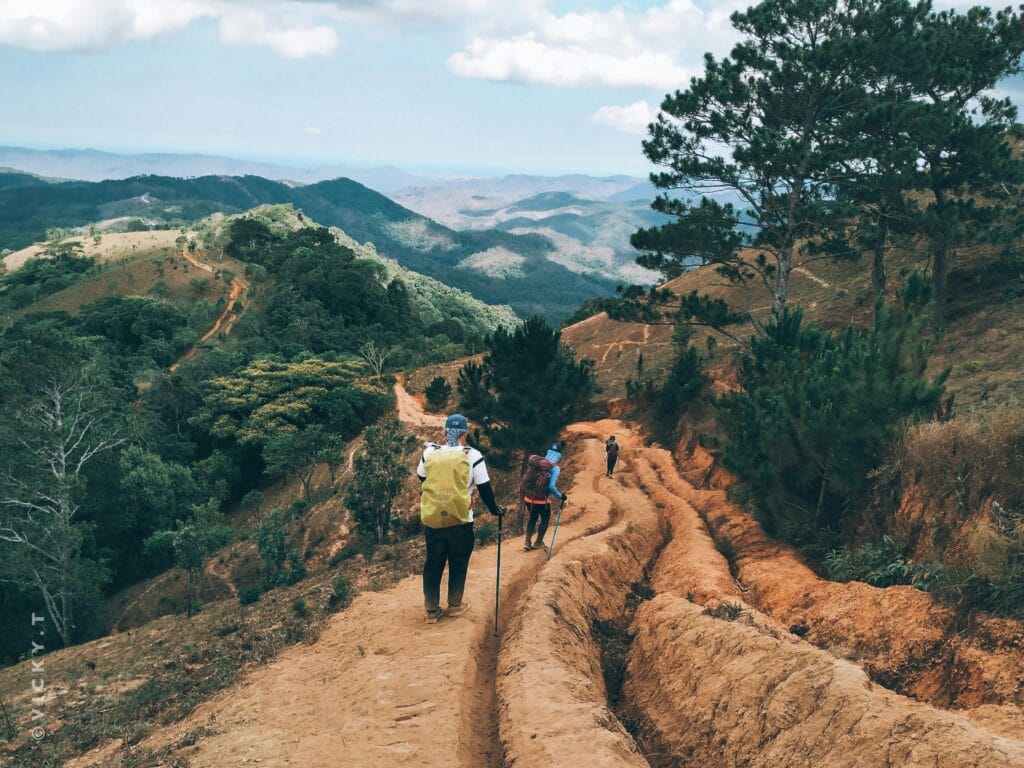 Top 5 Trekking Destinations in India: Conquer Nature’s Best Trails 2 pexels vicky 4388558 min
