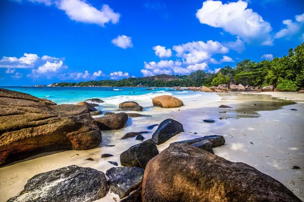 rocks beach surrounded by greenery sea sunlight praslin seychelles