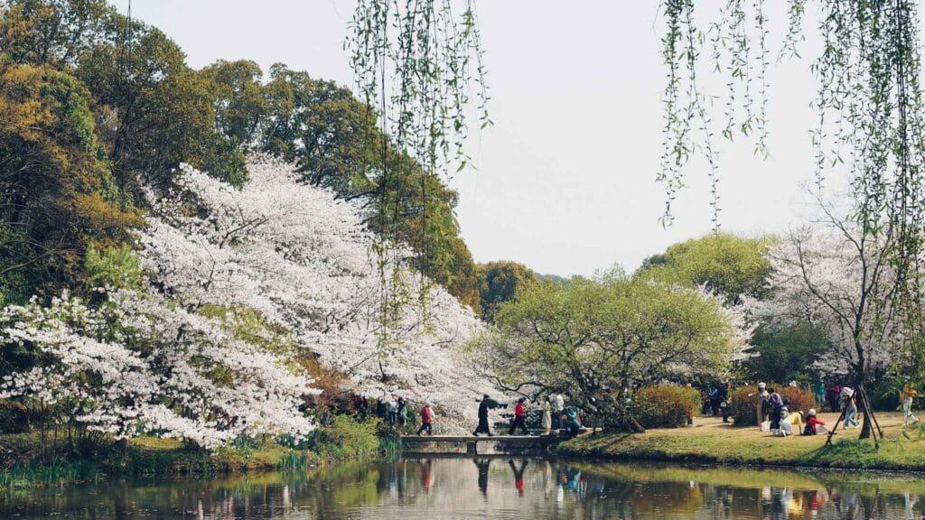 LAX to Tokyo: 5 Budget-Friendly Ways to Enjoy Authentic Culture 5 jeremy fang ocqedMBsoY unsplash 11zon