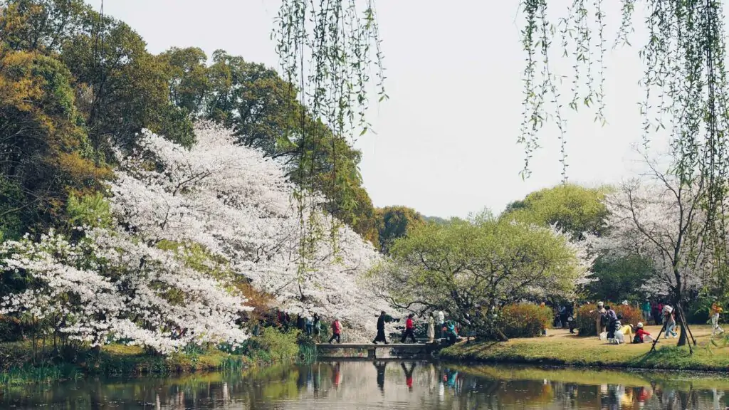 jeremy fang ocqedMBsoY unsplash 11zon