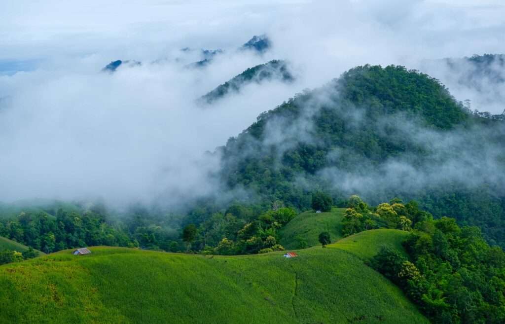 Best Places to Visit in Summer – Top Destinations(2025) 8 Coorg, Karnataka-Scotland of India