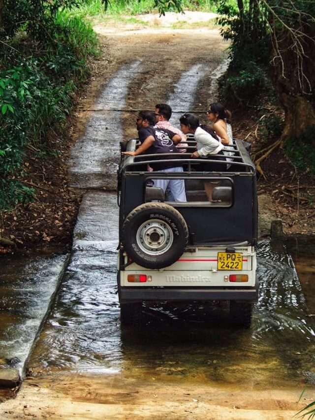 Top road trips for adventure lovers