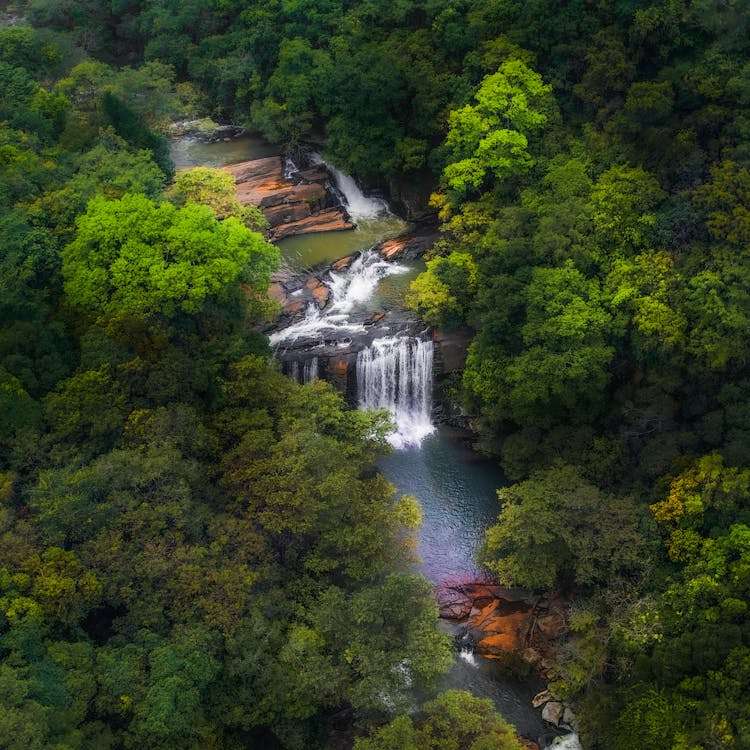 Best Time to Travel to Sri Lanka: A Complete Guide-2025 2 Sri Lanka Tourist Image 2