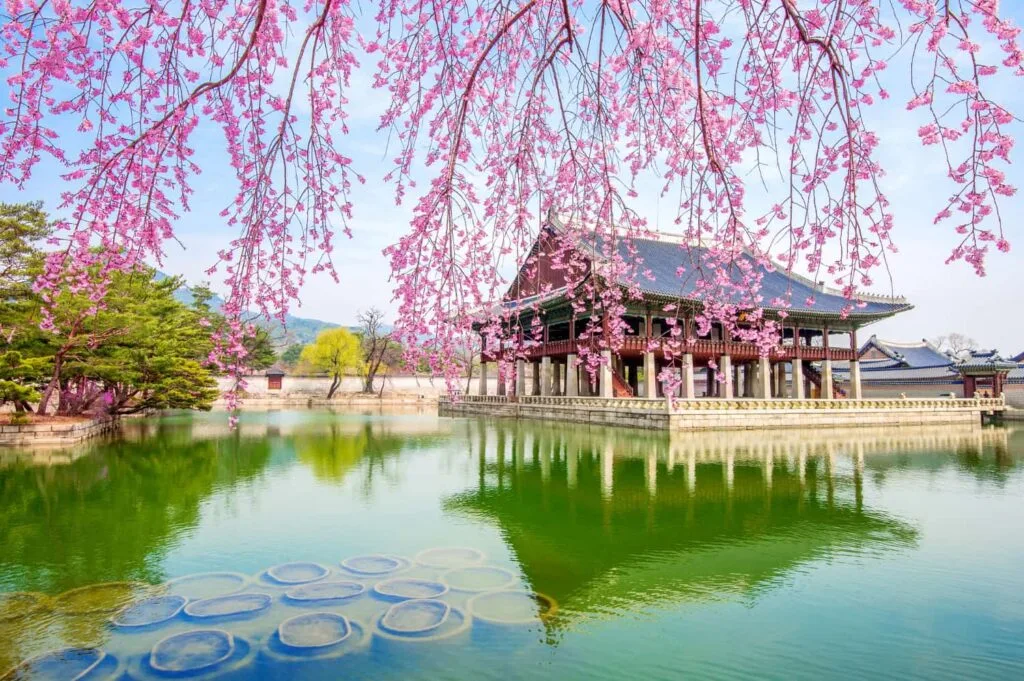Best Time to Visit China Spring in China