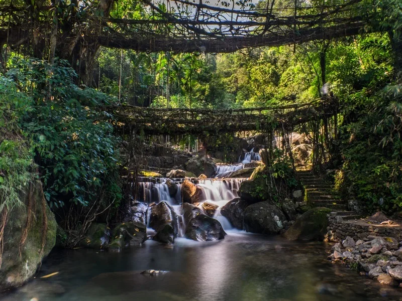 Top 10 Best Places to Visit in Meghalaya: A complete Guide 7 Cherrapunji Double Decker Living Root Bridge Main 1