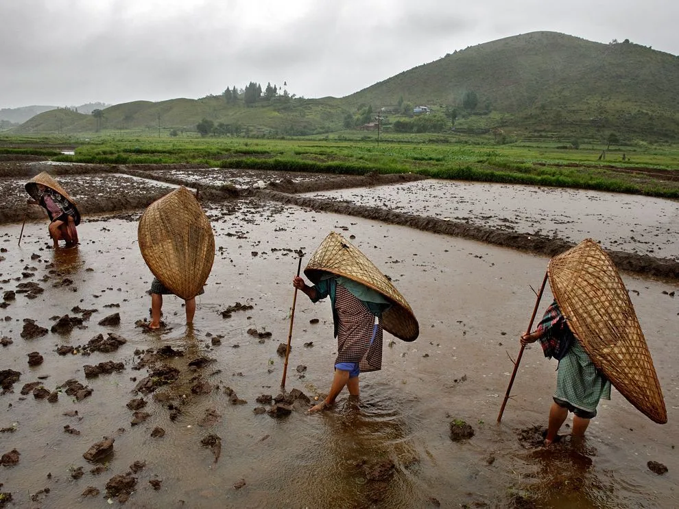 Top 10 Best Places to Visit in Meghalaya: A complete Guide 5 Farmers in Mawsynram