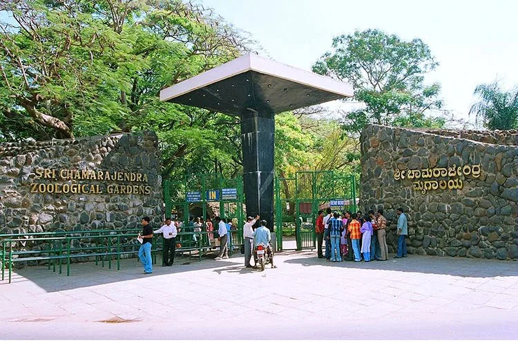 Explore the Mysore’s Royal Charm – A Complete Travel Guide 2 MysoreZoo1 min