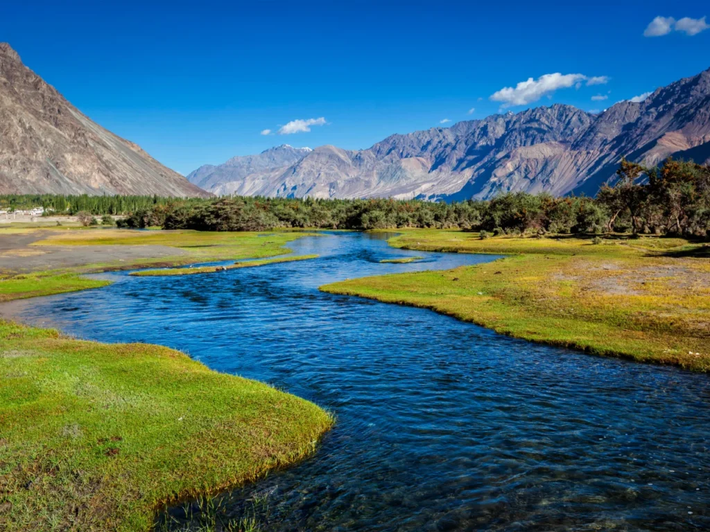 Discover the Cold Deserts in India: A Journey Through Ladakh, Spiti, and Nubra Valley 5 Nubra Valley