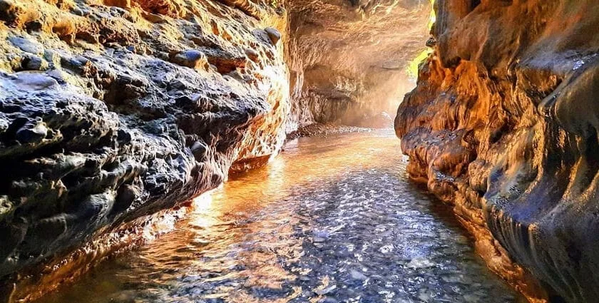 Unveiling Dehradun 2025 : The Serene Gateway to the Himalayas 1 Robbers Caves min
