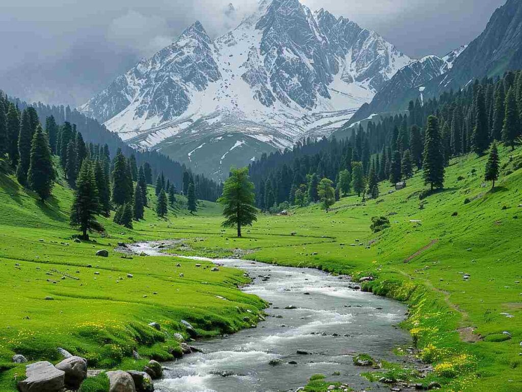 Mini Switzerland in Kashmir: A Complete Travel Guide to Yusmarg 1 Understanding Yusmarg min