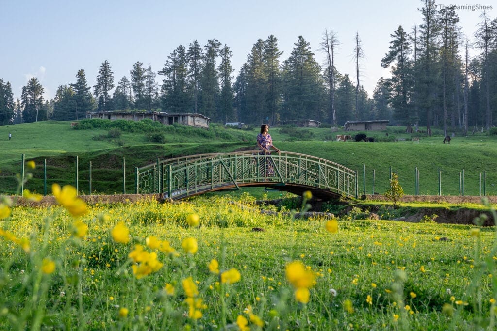 Mini Switzerland in Kashmir: A Complete Travel Guide to Yusmarg 2 Yusmarg is nothing short of cinematic min