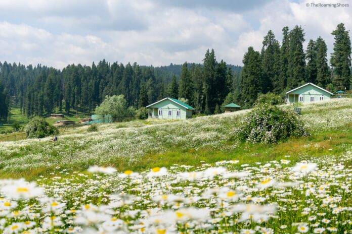 Yusmarg — Mini Switzerland in Kashmir.