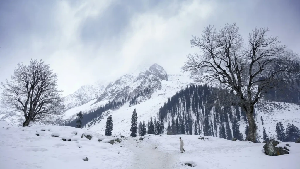 Mini Switzerland in Kashmir: A Complete Travel Guide to Yusmarg 3 Yusmarg winter