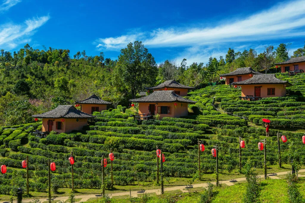10 Best Places to Visit in Thailand 2025: Ultimate Travel Guide for First-Time Visitors 12 Thailand