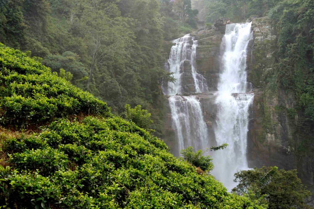 Places to Visit in Gokarna Karnataka 10 Gokarna