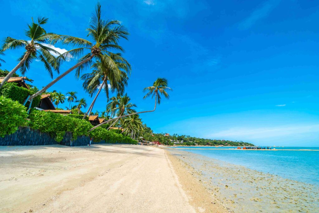 Places to Visit in Gokarna Karnataka 2 Gokarna