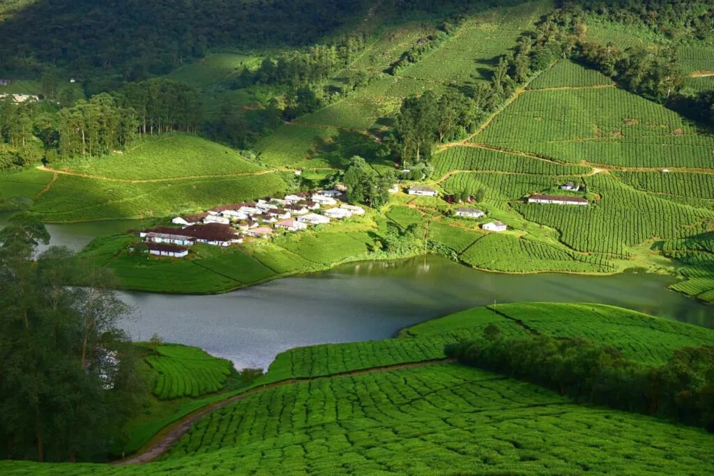 Hidden Tourist Places to Visit in South India That Will Absolutely Blow Your Mind 3 kerala meghamalai tea estates resized AjayTvmShutterstock scaled zvivia min