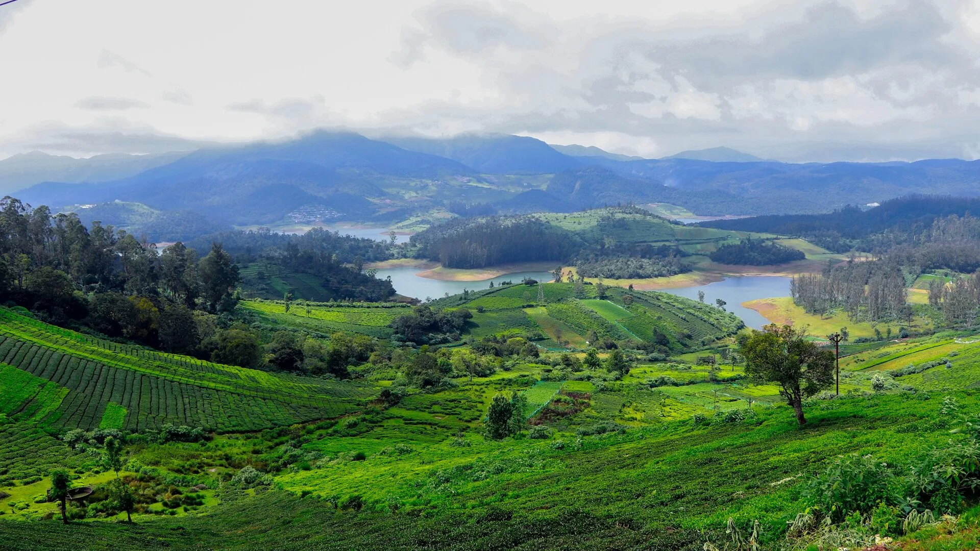 Top Travel Destinations in India for April Adventures 4 Ooty, Tamil Nadu