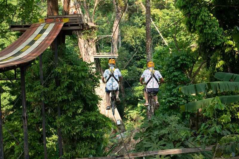 Top Things to Do in Malaysia: Islands, Ziplines & More! 6 Malaysia