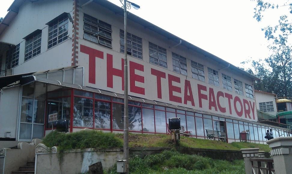 Ooty 2025: Why This Misty Hill Town Is the Ultimate Escape This Year 4 tea factory featured