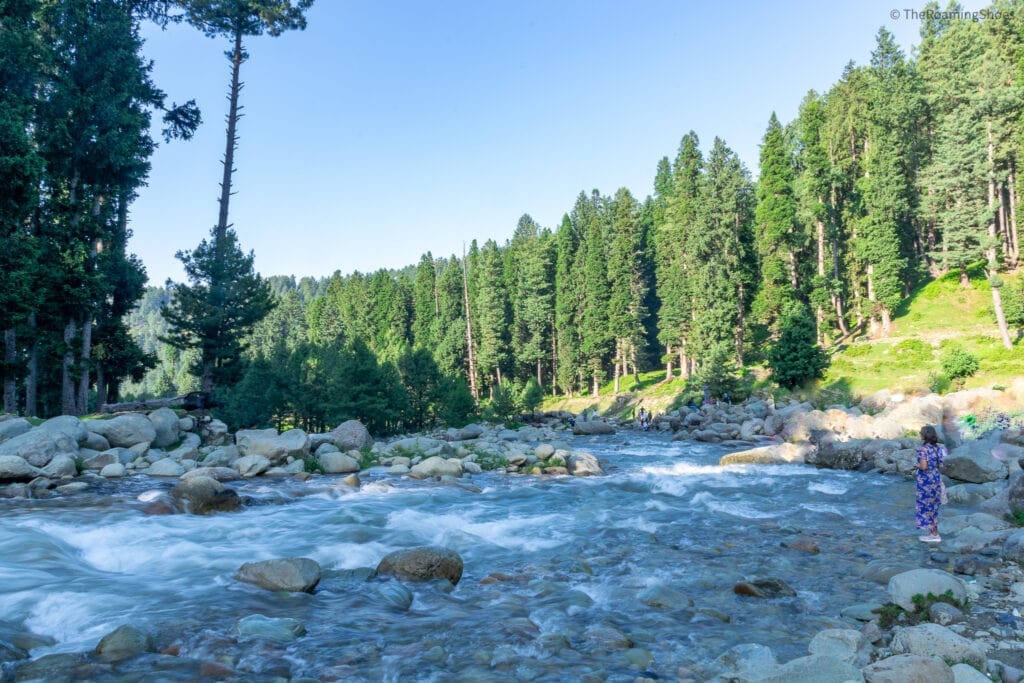 Mini Switzerland in Kashmir: A Complete Travel Guide to Yusmarg 5 yusmarg min 1