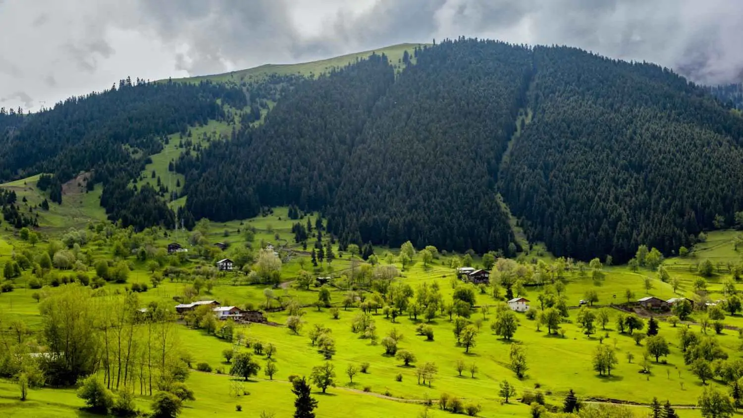 Top Places to Visit in India in June 2025 – Hill Stations, Beaches & More 1 20436 11zon edited