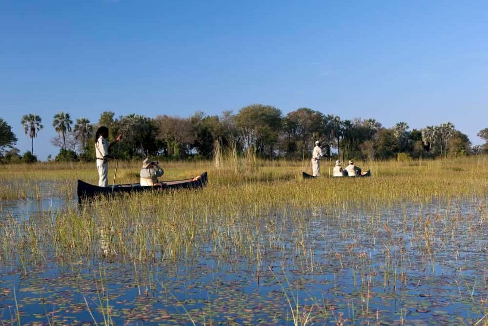 Top 10 Amazing East Coast National Parks Everyone Should Visit 4 Everglades National Park