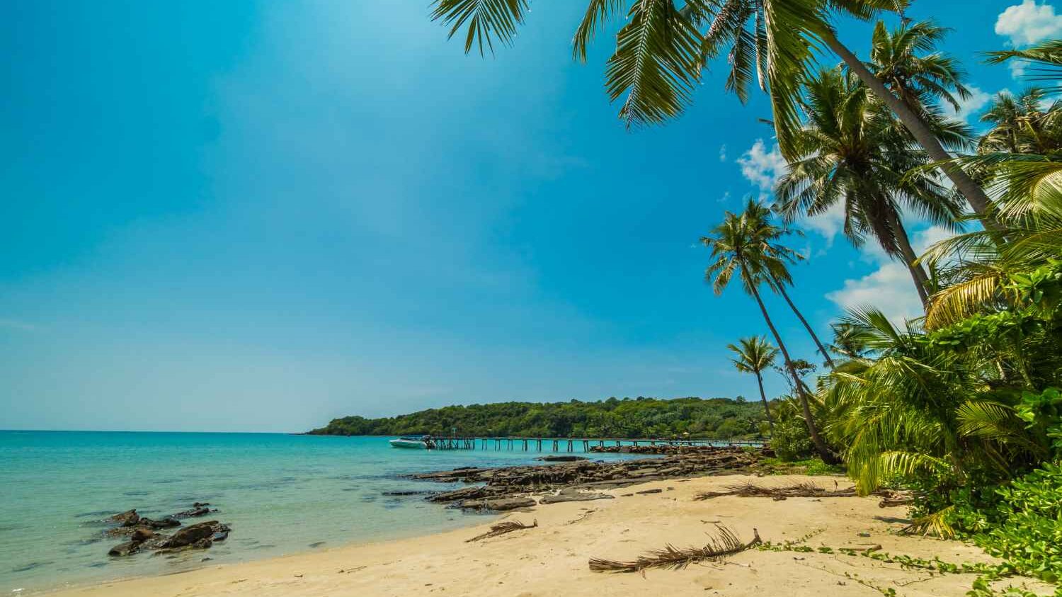 Best Beaches in Goa for Summer 2025 – Hidden Gems and Popular Spots 4 Goa