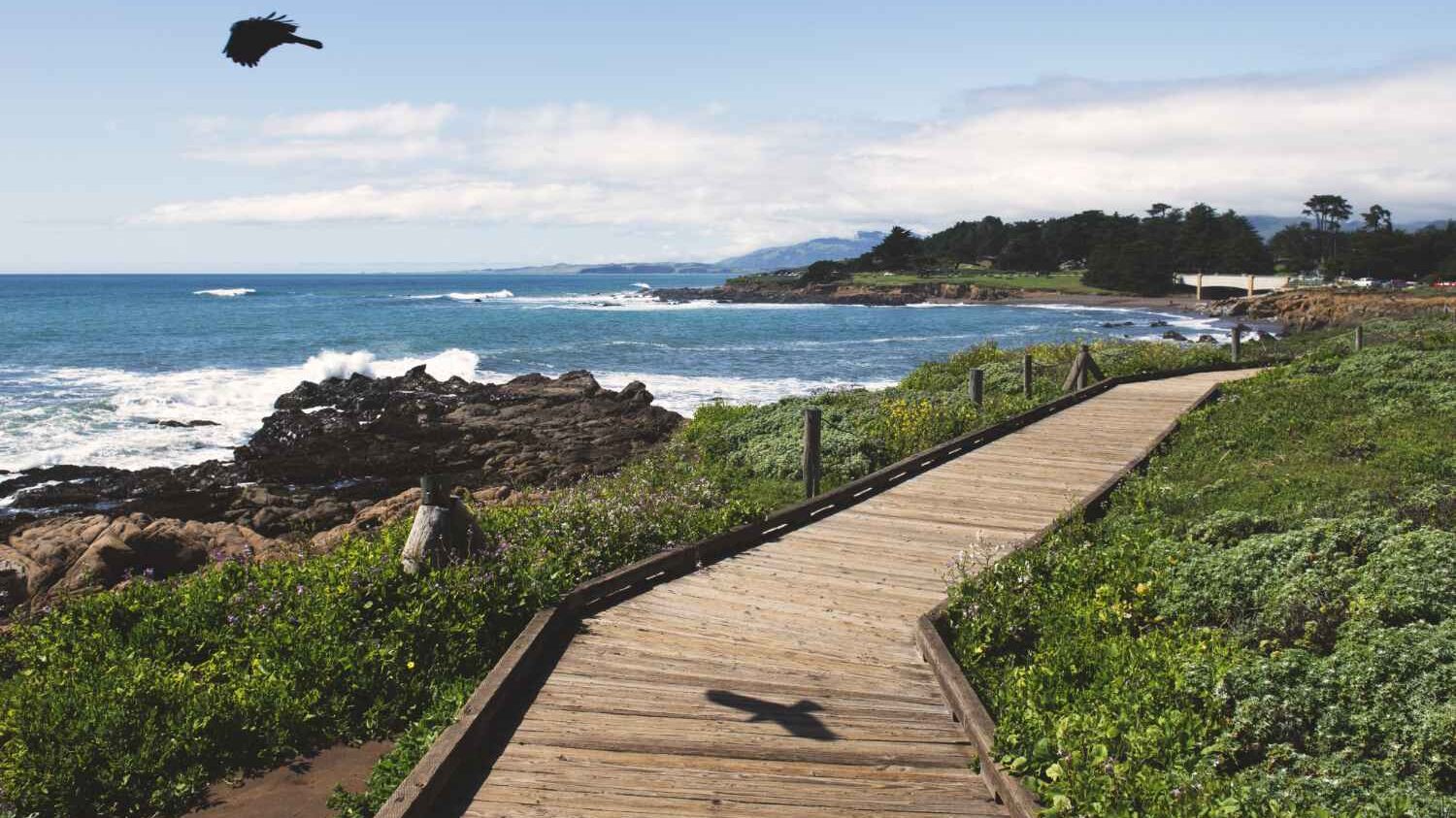 10 Free Things to Do in Maui 5 7995 11zon edited