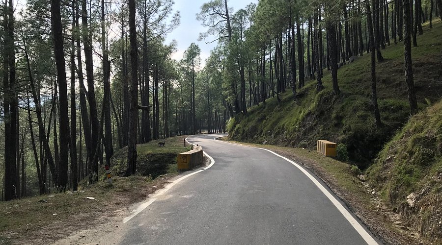 Discover the Hidden Gems: 10 Offbeat Places in Uttarakhand You Must Visit 3 Binsar – Where Wildlife Meets Peace min