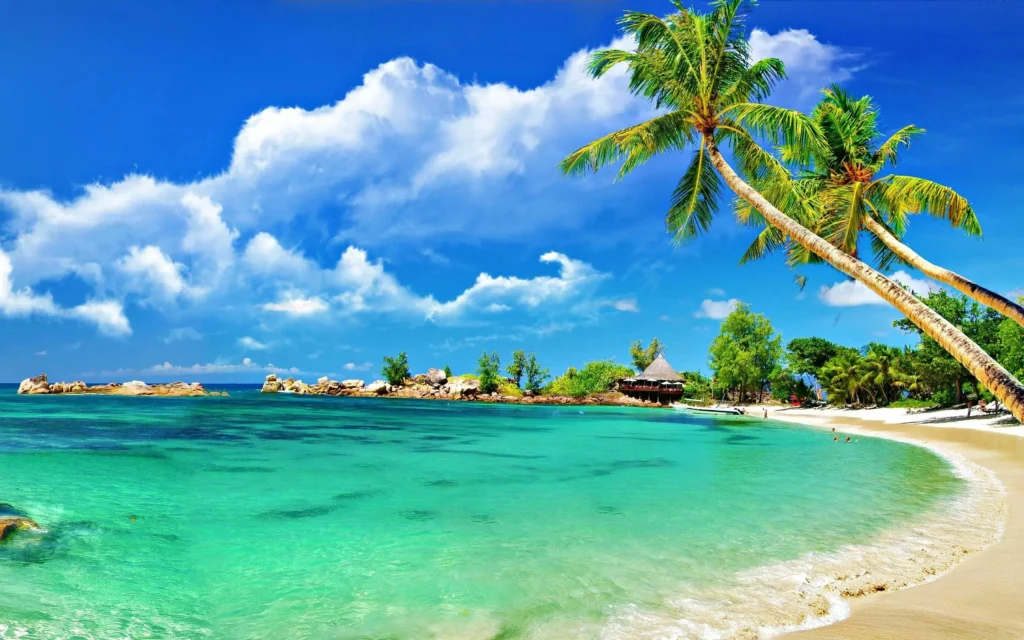 Bangalore to Goa Road Trip: Explore the Best Places 6 View to Arambol beach from the hill Goa