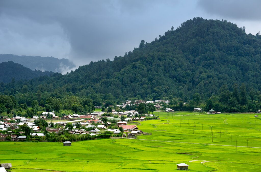 10 Surreal Places in India That Feel Out of This World 7 Ziro Valley Arunachal Pradesh min