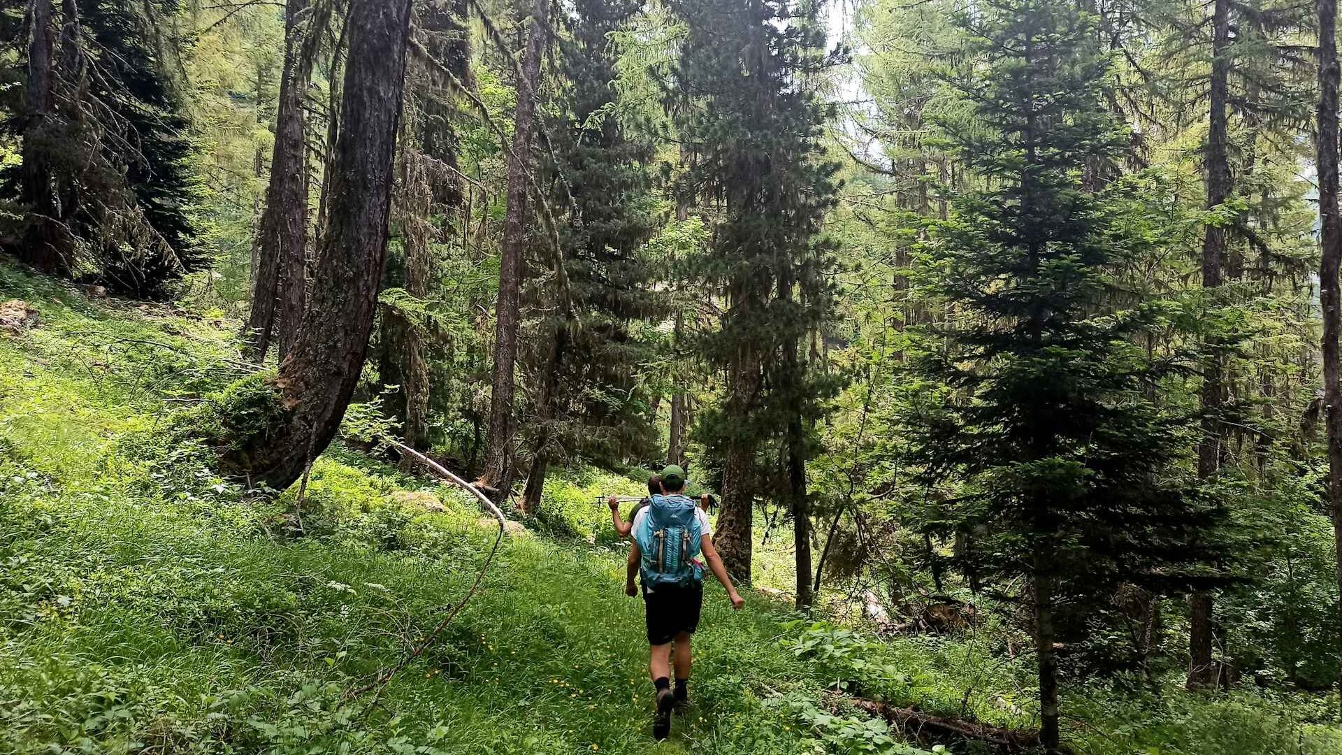 Hidden Gems and Must-Do Adventures in Julian, California 3 Things to Do in Julian