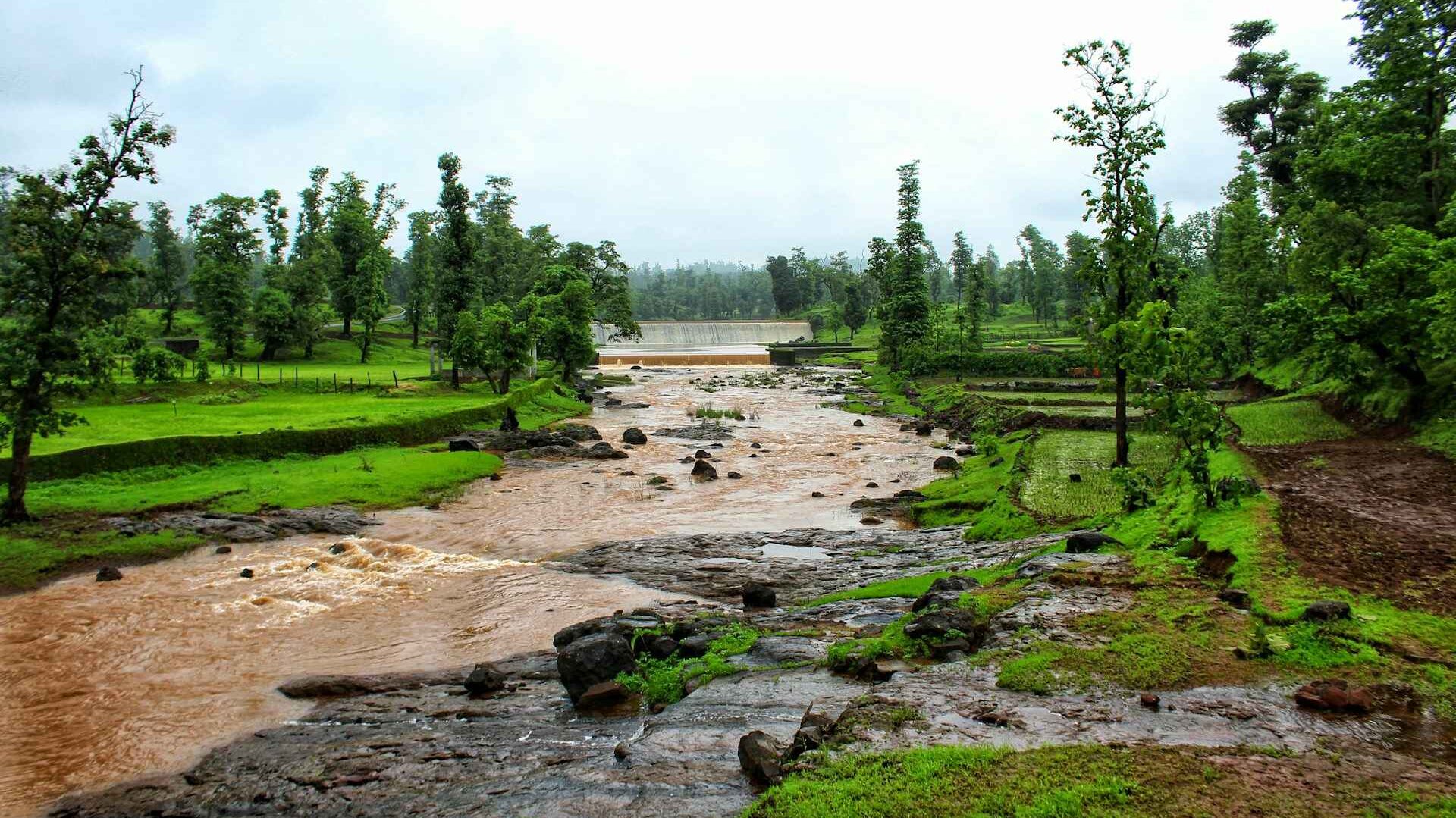 Best Monsoon Destinations in India to Explore in July 2025 4 ankit patel 3g4SZ6aQq8c unsplash 11zon edited