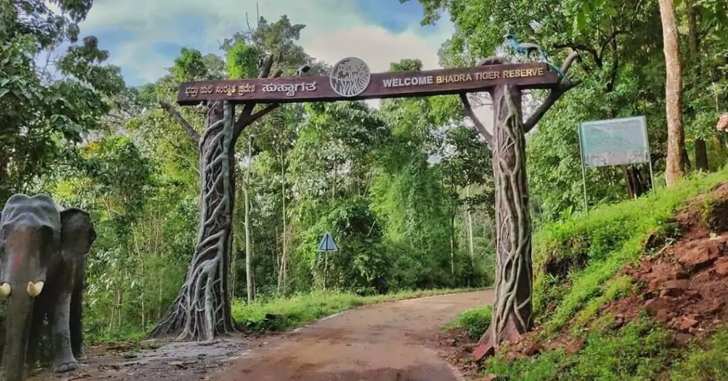 bhadra wildlife sanctuary
