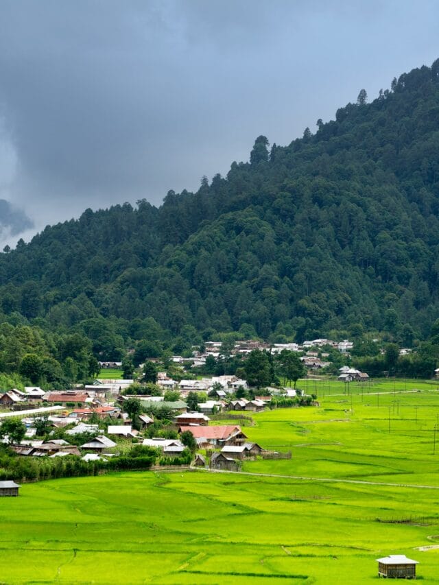 Top 5 Budget-Friendly Hill Stations in India