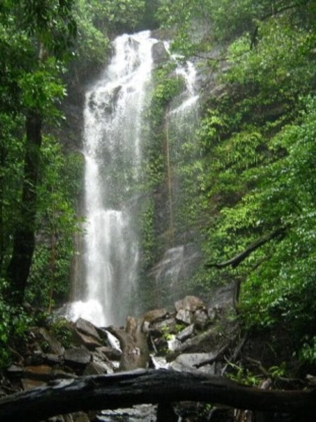 Top 5 Monsoon Destinations in Karnataka for Family Trips