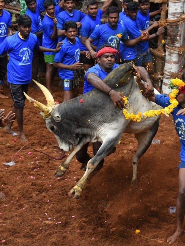 Discover the Rich Traditions and Beauty of Tamil Culture