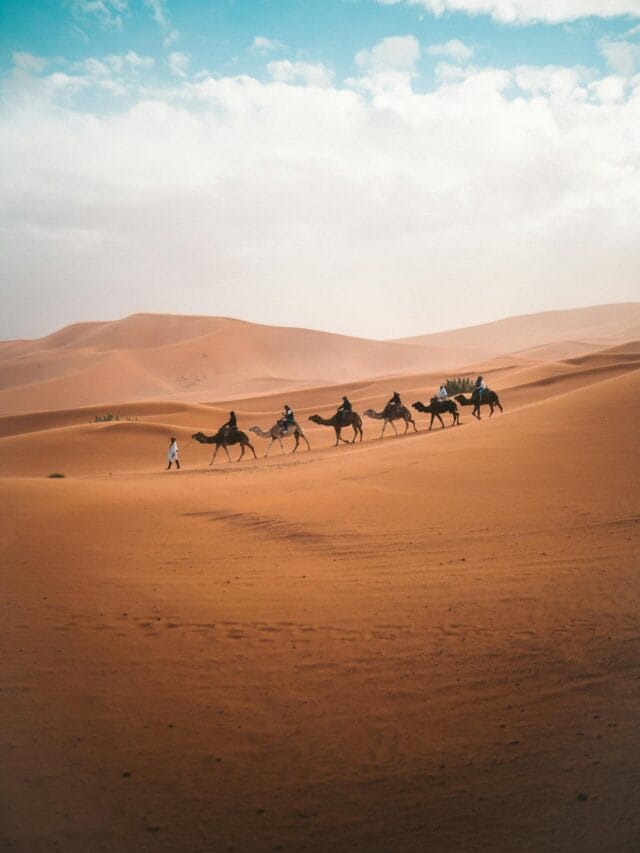 Famous Deserts In The World