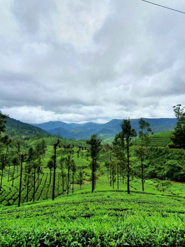 Top Monsoon Destinations in India