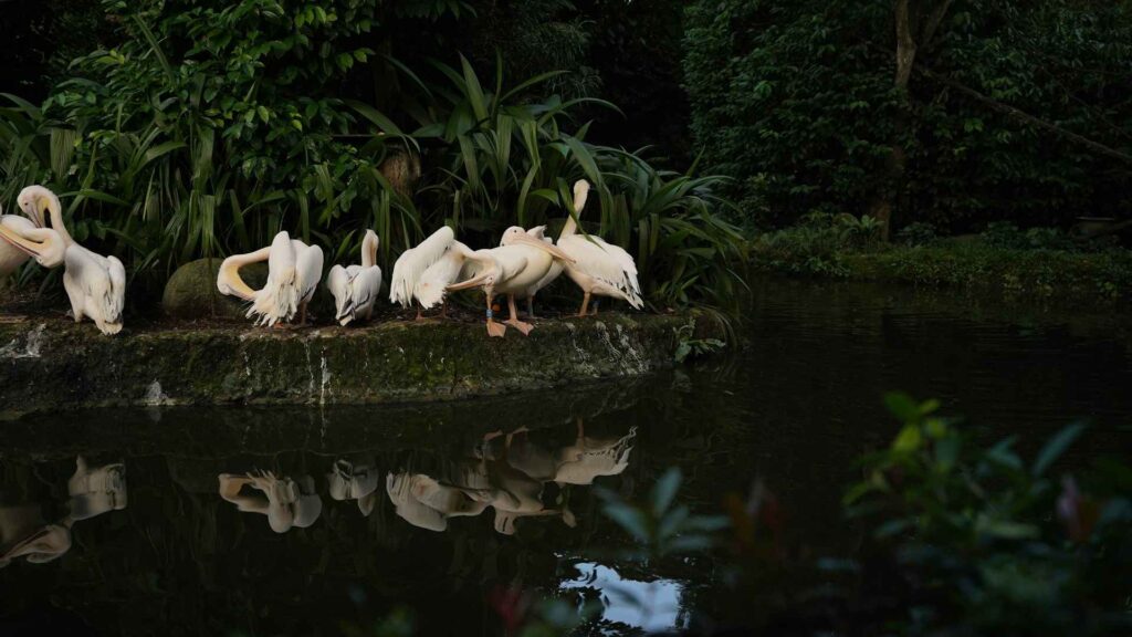7-Day Family Itinerary for Singapore in June 2025 3 Family