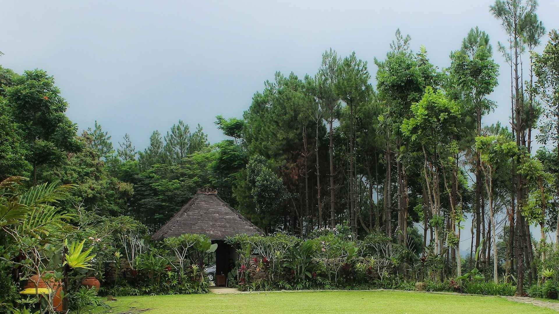 Best Family Vacation Spots in Kerala for Summer 2025 5 elvira syamsir qjGYH5KVv1A unsplash 11zon edited