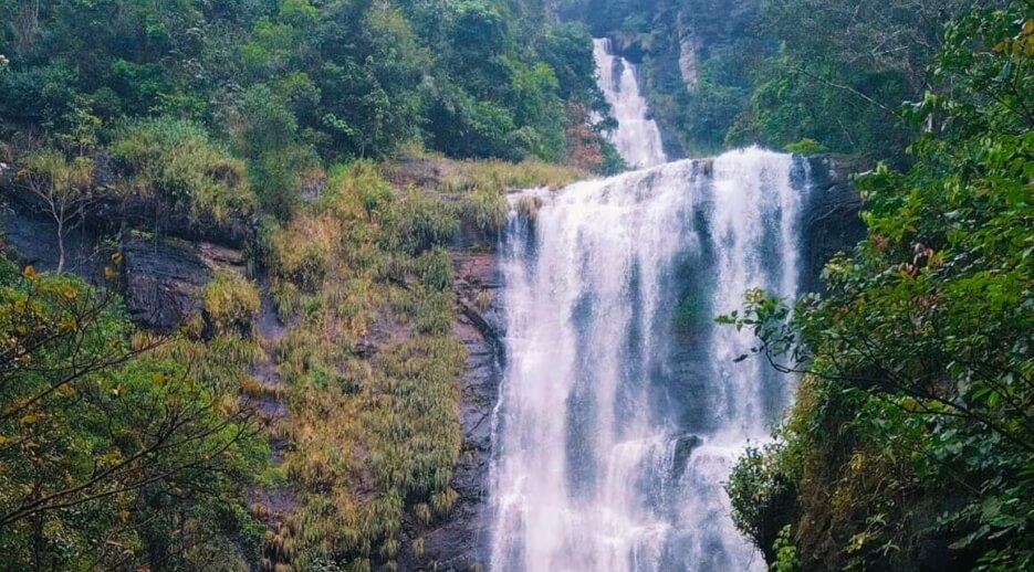 Top 8 Best Places to Visit in Chikmagalur, Karnataka 3 hebbe min
