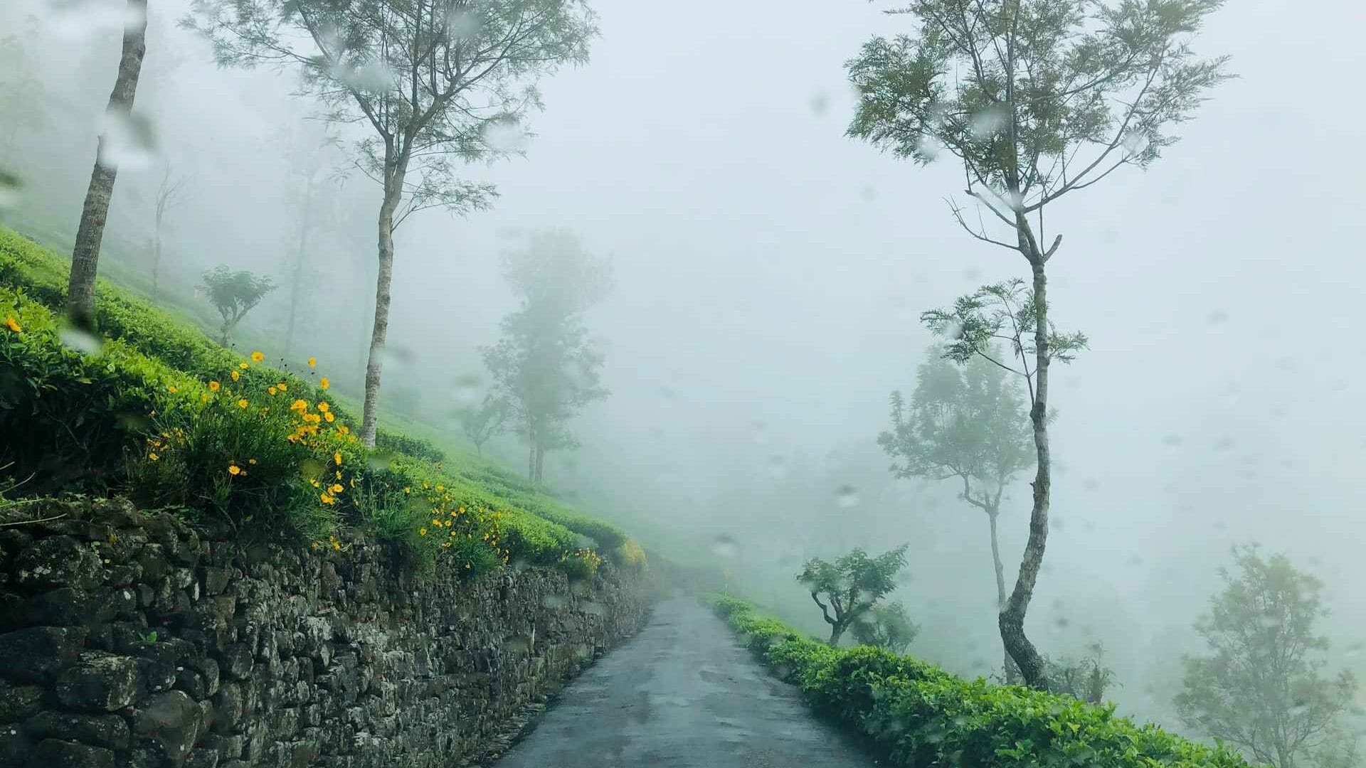 Top Places to Visit in India in June 2025 – Hill Stations, Beaches & More 3 kelum chathuranga vNbvcJFzxd0 unsplash 11zon edited