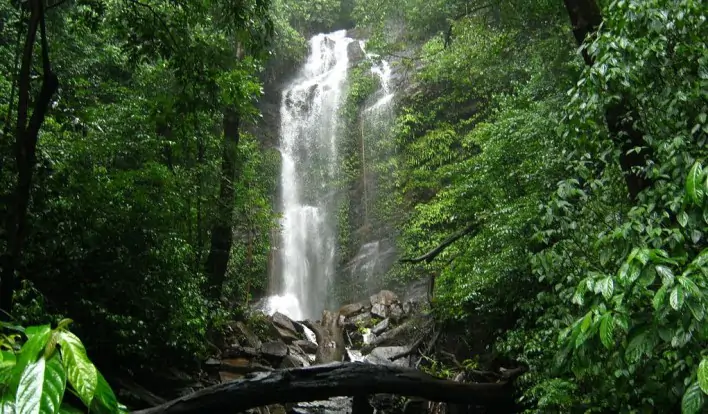 Top 10 Monsoon Destinations in Karnataka 8 kodachadri arasinagundi falls kollur min